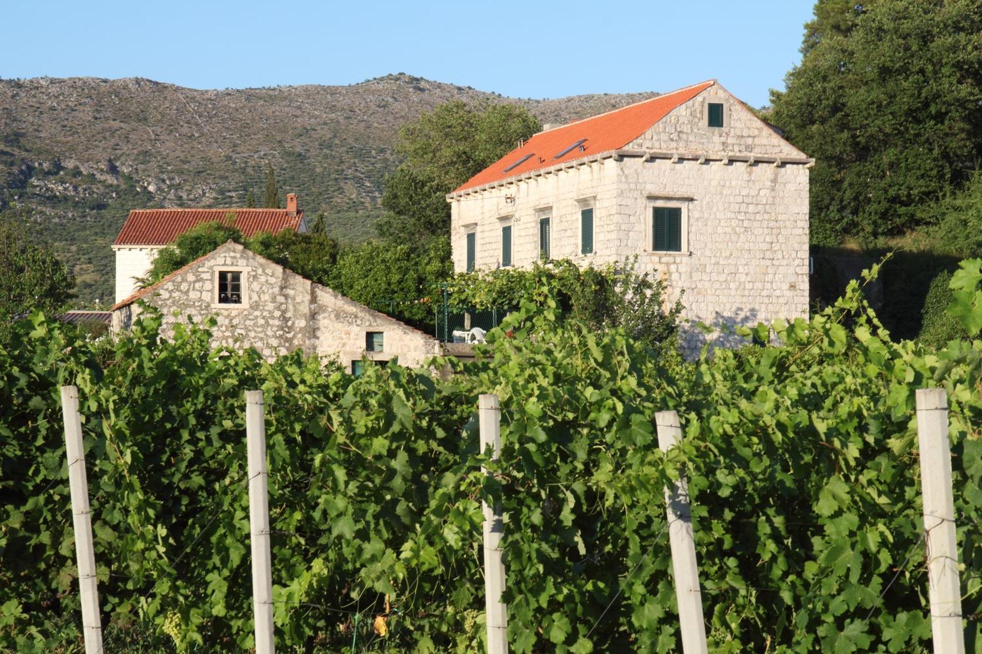 Villa Violic Затон Екстериор снимка