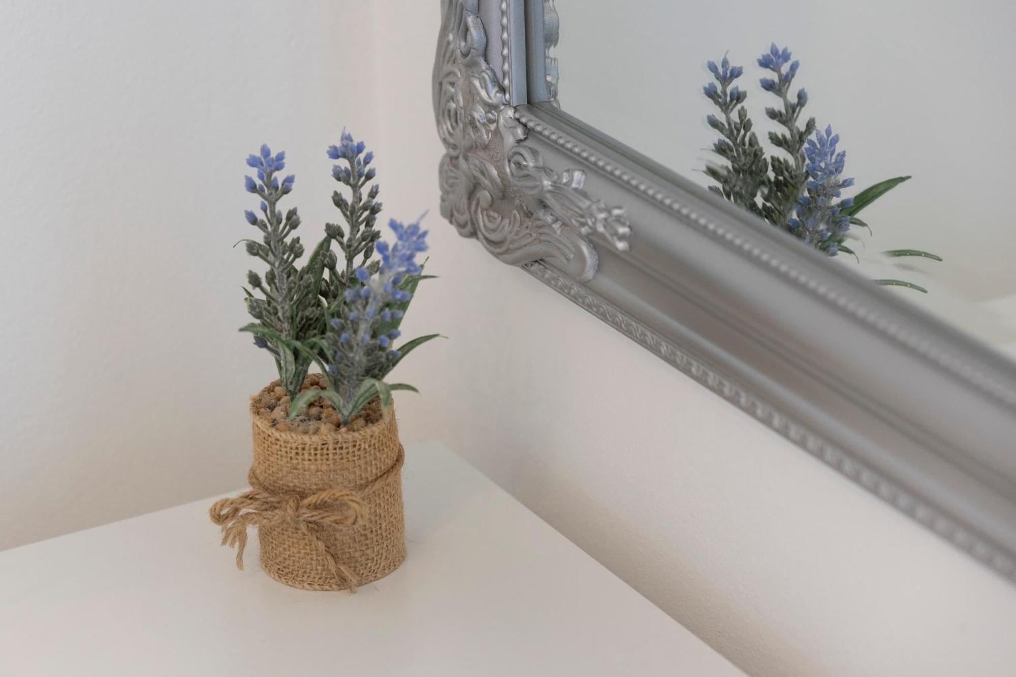 Villa Violic Затон Екстериор снимка